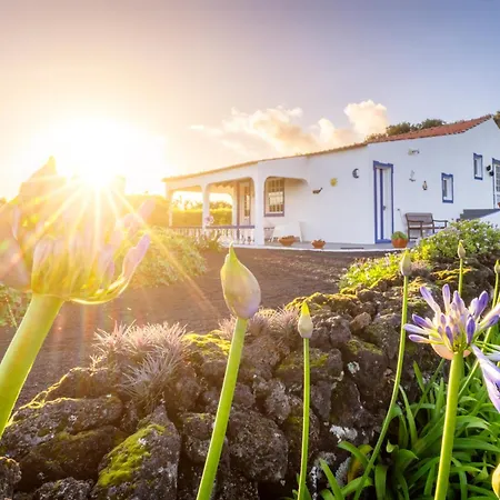 Bed & Breakfast O Zimbreiro