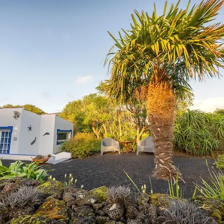 Bed & Breakfast O Zimbreiro 3*