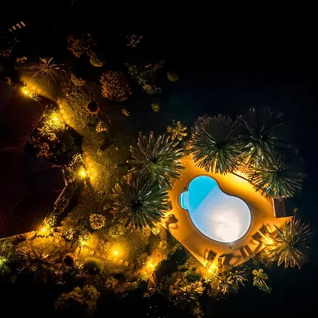 O Zimbreiro Piedade (Azores)