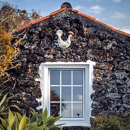 Frühstückspension O Zimbreiro Piedade (Azores)