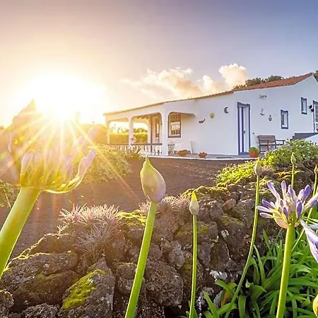 O Zimbreiro Bed & Breakfast 4*