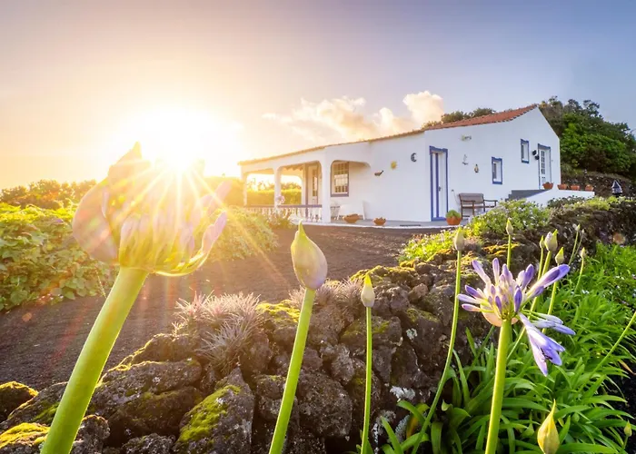 O Zimbreiro Отель типа 